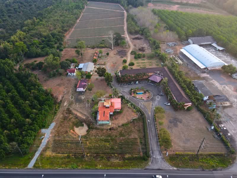 ขาย - ขาย ที่ดิน รีสอร์ทและสวน ทางไปเกาะช้าง จ.ตราด เนื้อที่ 56 ไร่ 47 ตารางวา เหมาะทำการค้า ติดถนนใหญ่, ตราด