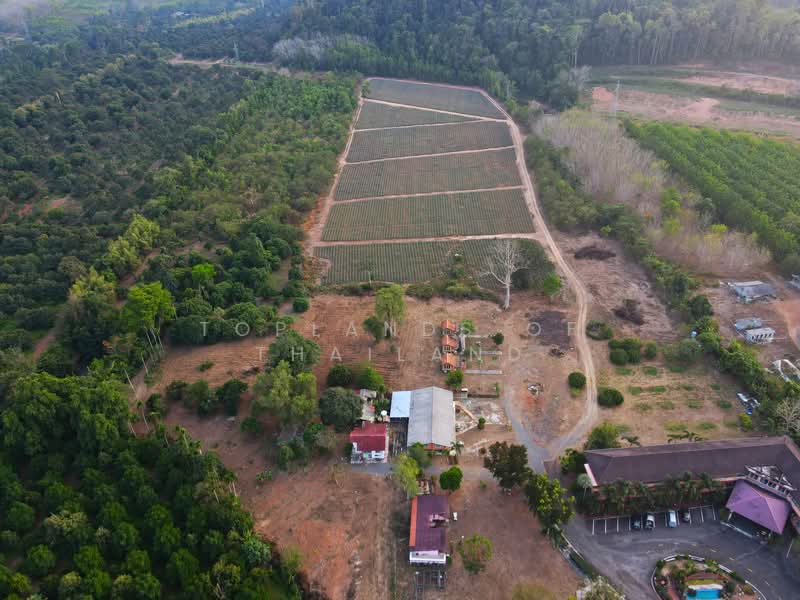 ขาย - ขาย ที่ดิน รีสอร์ทและสวน ทางไปเกาะช้าง จ.ตราด เนื้อที่ 56 ไร่ 47 ตารางวา เหมาะทำการค้า ติดถนนใหญ่, ตราด