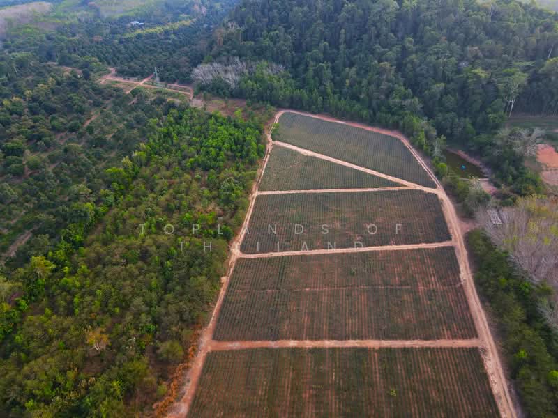 ขาย ที่ดิน รีสอร์ทและสวน ทางไปเกาะช้าง จ.ตราด เนื้อที่ 56 ไร่ 47 ตารางวา เหมาะทำการค้า ติดถนนใหญ่, Trat, Khao Saming, Khao Saming, Trat, , 89,788 sqm, Land For Sale, by TopLands of Thailand, 500155606 - DDproperty.com