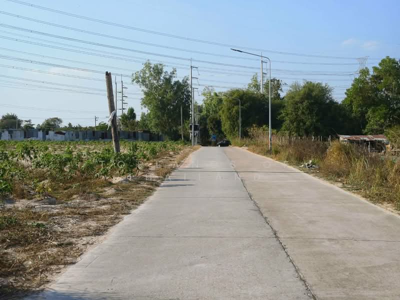 ขาย - ขายที่ดิน มาบยางพร อ.ปลวกแดง ระยอง (Zone อุตสาหกรรม มีไฟฟ้า Support) เนื้อที่ 86 ไร่ ถนนกว้าง 8-15 m, ระยอง