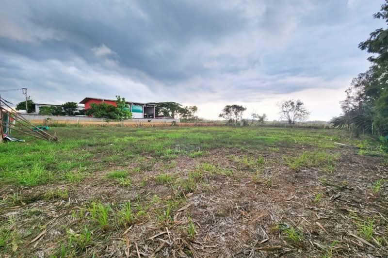 ขายที่ดิน ถนนกาญจนาภิเษก คลองสี่ คลองหลวง ปทุมธานี ขนาด 371ตร.วา ถมแล้ว, ปทุมธานี, กาญจนาภิเษก, คลองสี่, คลองหลวง, ปทุมธานี, 1,484 ตร.ม., ที่ดิน ขาย, โดย มิว, 500155624 - DDproperty.com