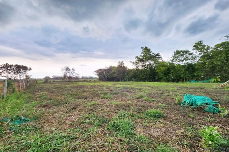 ขายที่ดิน ถนนกาญจนาภิเษก คลองสี่ คลองหลวง ปทุมธานี ขนาด 371ตร.วา ถมแล้ว, ปทุมธานี, กาญจนาภิเษก, คลองสี่, คลองหลวง, ปทุมธานี, 1,484 ตร.ม., ที่ดิน ขาย, โดย มิว, 500155624 - DDproperty.com
