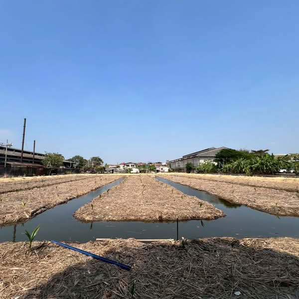 ขายหรือให้เช่าโรงงานเก่า15-1-71 ไร่ ติดถนนเพชรเกษม โซนอ้อมใหญ่, นครปฐม, อ้อมใหญ่, สามพราน, นครปฐม, 14,970 ตร.ม., โกดัง-โรงงาน ขาย, โดย AJHOMECENTER - คุณโป้ง, 500155678 - DDproperty.com