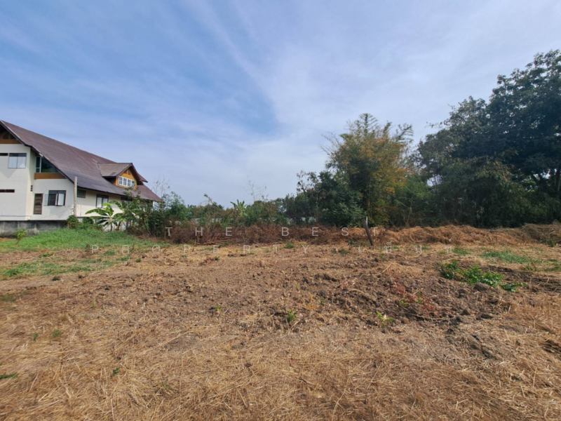 ที่ดินบ้านกล้วย ชัยนาท, ชัยนาท, บ้านกล้วย, เมืองชัยนาท, ชัยนาท, 348 ตร.ม., ที่ดิน ขาย, โดย The Best Property เบ็นซ์, 500155706 - DDproperty.com