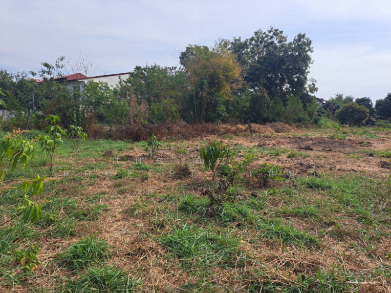 ที่ดินบ้านกล้วย ชัยนาท, ชัยนาท, บ้านกล้วย, เมืองชัยนาท, ชัยนาท, 348 ตร.ม., ที่ดิน ขาย, โดย The Best Property เบ็นซ์, 500155706 - DDproperty.com