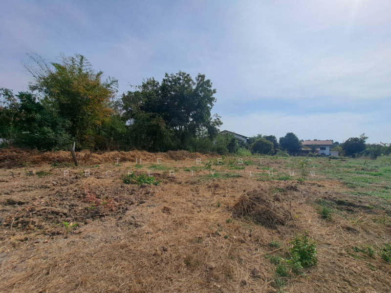 ที่ดินบ้านกล้วย ชัยนาท, ชัยนาท, บ้านกล้วย, เมืองชัยนาท, ชัยนาท, 348 ตร.ม., ที่ดิน ขาย, โดย The Best Property เบ็นซ์, 500155706 - DDproperty.com