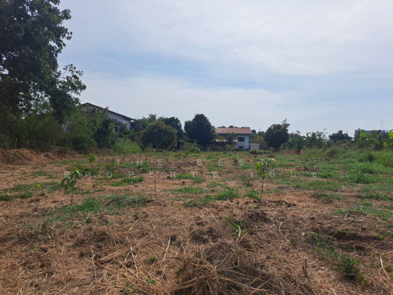 ที่ดินบ้านกล้วย ชัยนาท, ชัยนาท, บ้านกล้วย, เมืองชัยนาท, ชัยนาท, 348 ตร.ม., ที่ดิน ขาย, โดย The Best Property เบ็นซ์, 500155706 - DDproperty.com