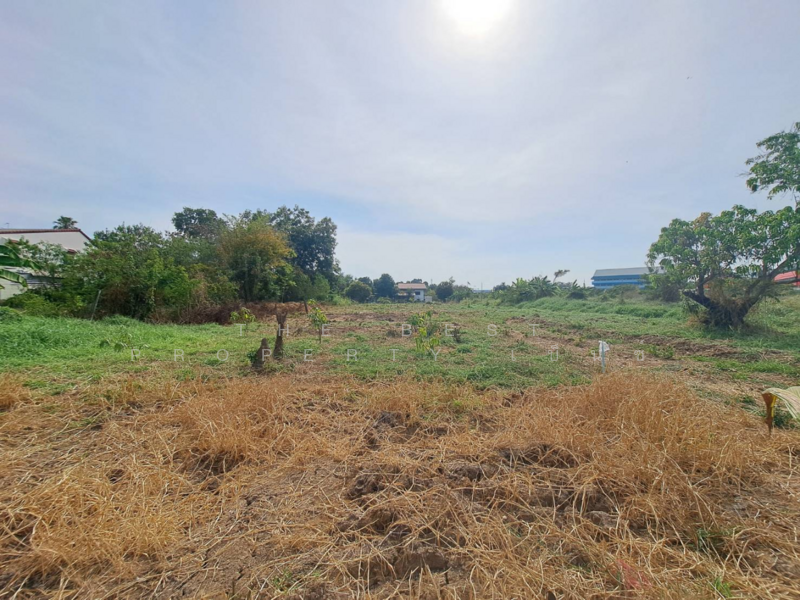 ที่ดินบ้านกล้วย ชัยนาท, Chai Nat, Ban Kluai, Muang Chai Nat, Chai Nat, , 348 sqm, Land For Sale, by The Best Property เบ็นซ์, 500155706 - DDproperty.com