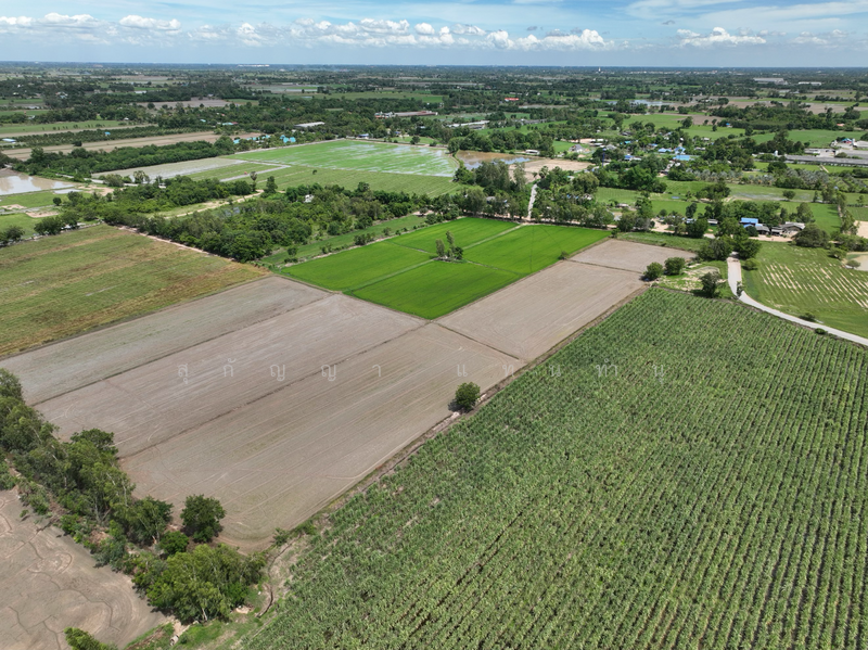 ที่ดิน 6 ไร่ 1 งาน - ต.บ้านสระ อ.สามชุก สุพรรณบุรี, สุพรรณบุรี, บ้านสระ, สามชุก, สุพรรณบุรี, 10,116 ตร.ม., ที่ดิน ขาย, โดย สุกัญญา แทนทำนุ, 500155724 - DDproperty.com