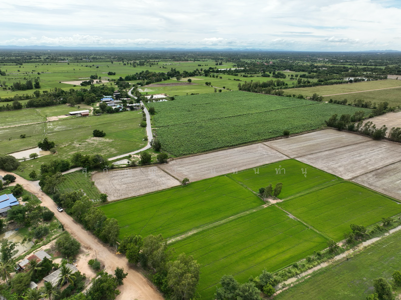 ที่ดิน 6 ไร่ 1 งาน - ต.บ้านสระ อ.สามชุก สุพรรณบุรี, Suphan Buri, Ban Sra, Sam Chuk, Suphan Buri, , 10,116 sqm, Land For Sale, by Sugunya Tantumnu, 500155724 - DDproperty.com