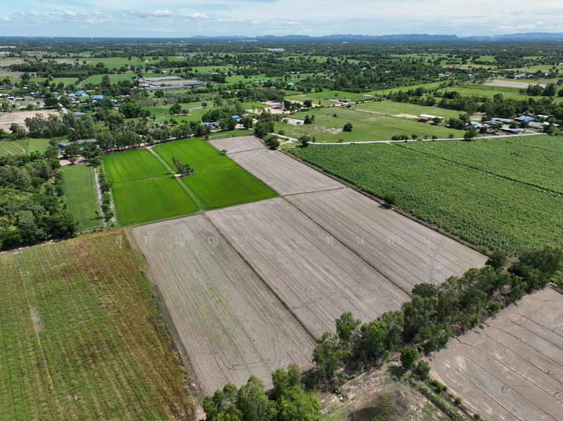 ที่ดิน 6 ไร่ 1 งาน - ต.บ้านสระ อ.สามชุก สุพรรณบุรี, Suphan Buri, Ban Sra, Sam Chuk, Suphan Buri, , 10,116 sqm, Land For Sale, by Sugunya Tantumnu, 500155724 - DDproperty.com