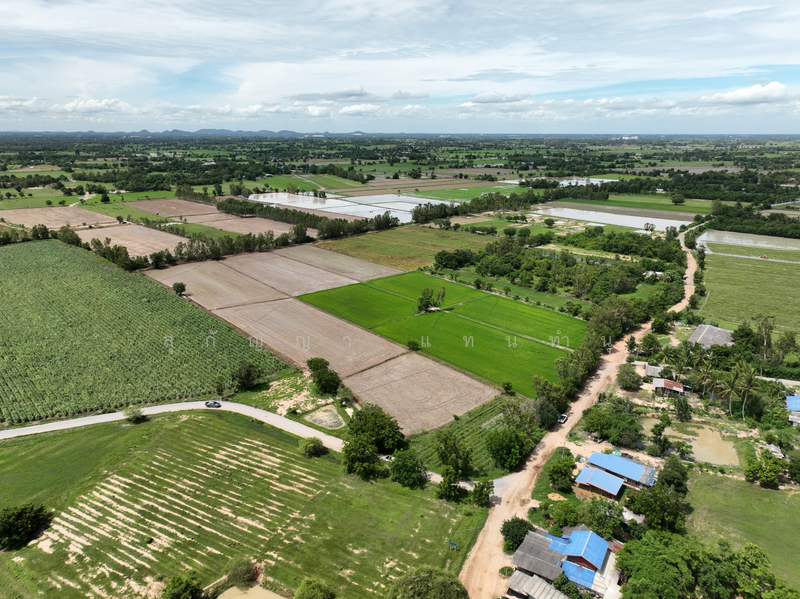 ที่ดิน 6 ไร่ 1 งาน - ต.บ้านสระ อ.สามชุก สุพรรณบุรี, สุพรรณบุรี, บ้านสระ, สามชุก, สุพรรณบุรี, 10,116 ตร.ม., ที่ดิน ขาย, โดย สุกัญญา แทนทำนุ, 500155724 - DDproperty.com