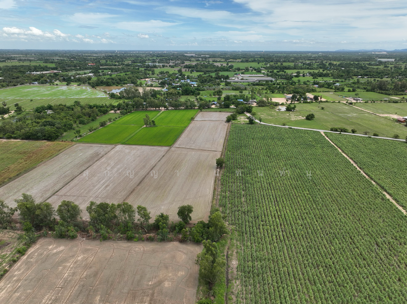 ที่ดิน 6 ไร่ 1 งาน - ต.บ้านสระ อ.สามชุก สุพรรณบุรี, สุพรรณบุรี, บ้านสระ, สามชุก, สุพรรณบุรี, 10,116 ตร.ม., ที่ดิน ขาย, โดย สุกัญญา แทนทำนุ, 500155724 - DDproperty.com