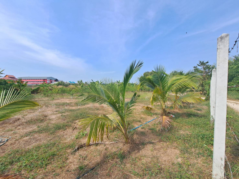 ที่ดินบ้านกล้วย ชัยนาท, ชัยนาท, บ้านกล้วย, เมืองชัยนาท, ชัยนาท, 1,376 ตร.ม., ที่ดิน ขาย, โดย The Best Property เบ็นซ์, 500155740 - DDproperty.com