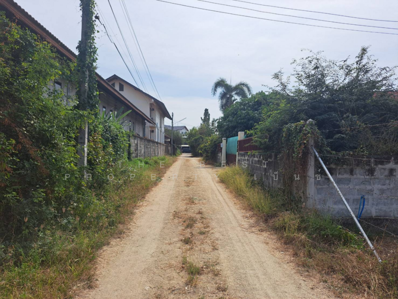 ที่ดินบ้านกล้วย ชัยนาท, Chai Nat, Ban Kluai, Muang Chai Nat, Chai Nat, , 1,376 sqm, Land For Sale, by The Best Property เบ็นซ์, 500155740 - DDproperty.com