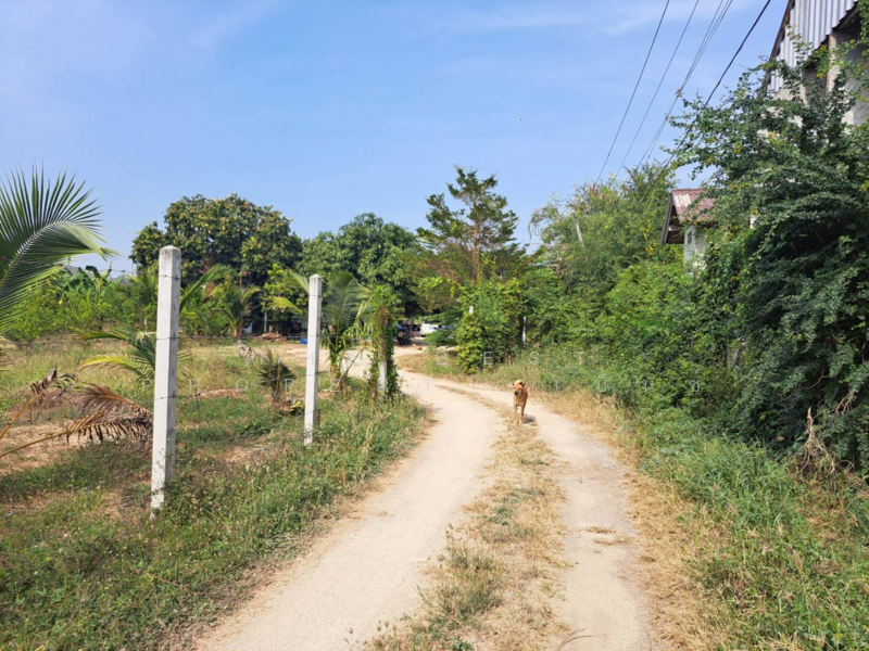 ที่ดินบ้านกล้วย ชัยนาท, Chai Nat, Ban Kluai, Muang Chai Nat, Chai Nat, , 1,376 sqm, Land For Sale, by The Best Property เบ็นซ์, 500155740 - DDproperty.com