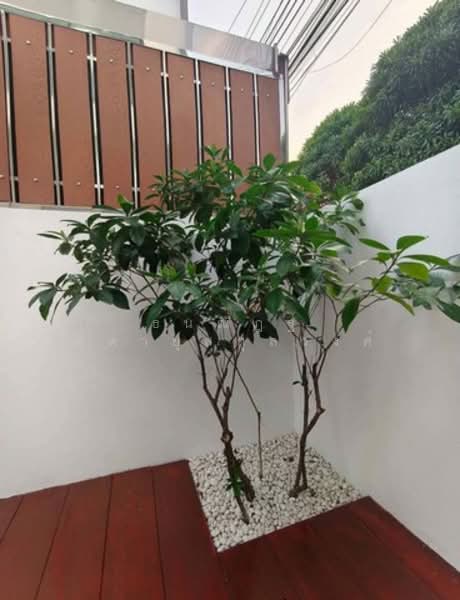 Baan Mai Rama 2-Buddhabucha 2, Bangkok, Soi Phutthabucha 36, Bangmot, Thung Khru, Bangkok, 3 Bedrooms, 134 sqm, Townhouse For Sale, by ธนณัฎฐ์ ศตายุสกุลวงศ์, 500155790 - DDproperty.com