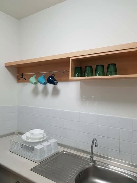 My Condo Sukhumvit 81, Bangkok, Soi Sukhumvit 81 Sukhumvit Road, Bang Chak, Phra Khanong, Bangkok, 1 Bedroom, 25 sqm, Condo For Rent, by Correct Property, 500155896 - DDproperty.com