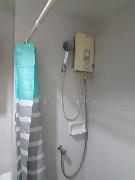 My Condo Sukhumvit 81 : มายคอนโด สุขุมวิท81, กรุงเทพ, ซอยสุขุมวิท 81 ถนนสุขุมวิท, บางจาก, พระโขนง, กรุงเทพ, 25 ตร.ม., คอนโด ให้เช่า, โดย Correct Property, 500155896 - DDproperty.com