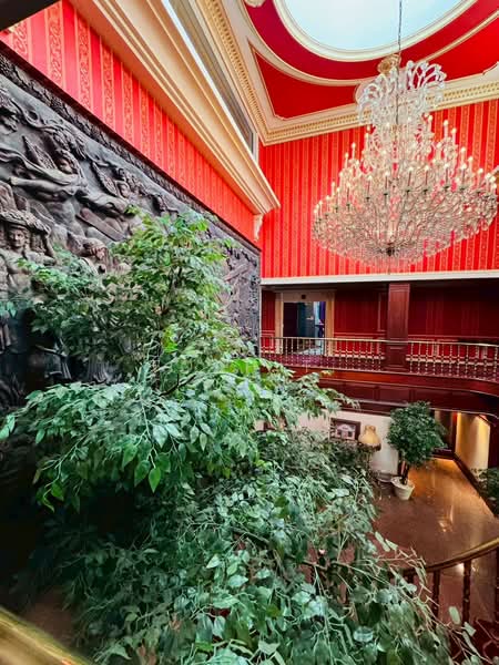 อาคารให้เช่า ทองหล่อ สุขุมวิท : Buildings for rent in Thonglor, Sukhumvit., Bangkok, Khlong Tan Nua, Watthana, Bangkok, , 2,000 sqm, Shophouse For Rent, by TOAH T., 500155905 - DDproperty.com