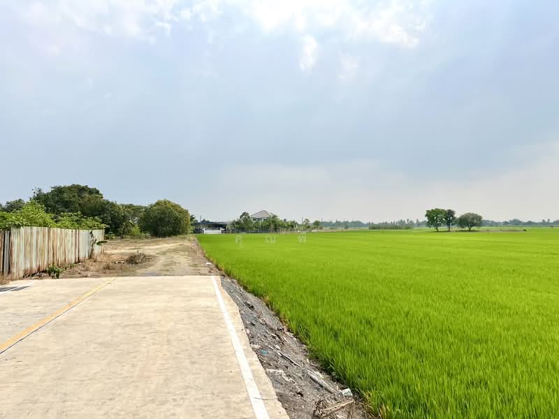 ที่ดิน 20 ไร่ ใกล้ถนนปทุม-บางเลน 1 กม. ขายที่ดินลาดหลุมแก้ว เลียบคลองระแหง เหมาะลงทุนพัฒนา, ปทุมธานี, ถนนเลียบคลองระแหง, ระแหง, ลาดหลุมแก้ว, ปทุมธานี, 32,288 ตร.ม., ที่ดิน ขาย, โดย คุณพี, 500155954 - DDproperty.com