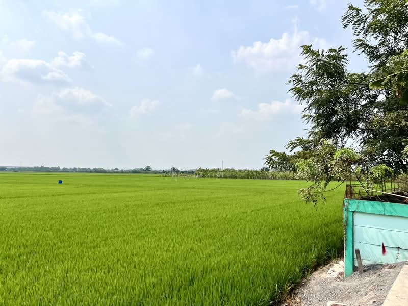 ที่ดิน 20 ไร่ ใกล้ถนนปทุม-บางเลน 1 กม. ขายที่ดินลาดหลุมแก้ว เลียบคลองระแหง เหมาะลงทุนพัฒนา, Pathum Thani, ถนนเลียบคลองระแหง, Ra Haeng, Lat Lum Kaeo, Pathum Thani, , 32,288 sqm, Land For Sale, by คุณพี, 500155954 - DDproperty.com