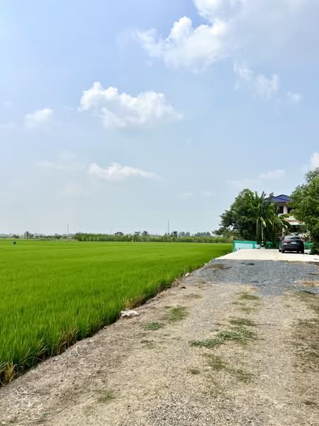 ที่ดิน 20 ไร่ ใกล้ถนนปทุม-บางเลน 1 กม. ขายที่ดินลาดหลุมแก้ว เลียบคลองระแหง เหมาะลงทุนพัฒนา, Pathum Thani, ถนนเลียบคลองระแหง, Ra Haeng, Lat Lum Kaeo, Pathum Thani, , 32,288 sqm, Land For Sale, by คุณพี, 500155954 - DDproperty.com