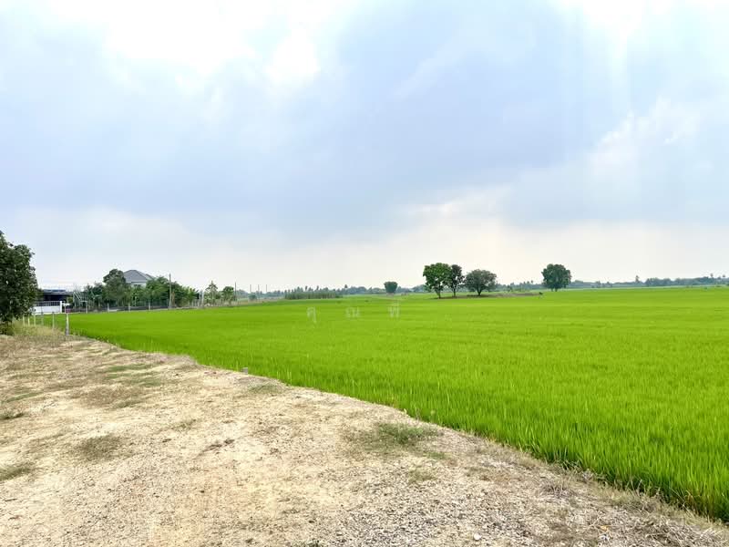 ที่ดิน 20 ไร่ ใกล้ถนนปทุม-บางเลน 1 กม. ขายที่ดินลาดหลุมแก้ว เลียบคลองระแหง เหมาะลงทุนพัฒนา, Pathum Thani, ถนนเลียบคลองระแหง, Ra Haeng, Lat Lum Kaeo, Pathum Thani, , 32,288 sqm, Land For Sale, by คุณพี, 500155954 - DDproperty.com