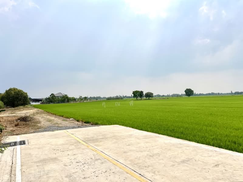 ที่ดิน 20 ไร่ ใกล้ถนนปทุม-บางเลน 1 กม. ขายที่ดินลาดหลุมแก้ว เลียบคลองระแหง เหมาะลงทุนพัฒนา, Pathum Thani, ถนนเลียบคลองระแหง, Ra Haeng, Lat Lum Kaeo, Pathum Thani, , 32,288 sqm, Land For Sale, by คุณพี, 500155954 - DDproperty.com