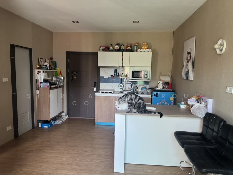 One Plus Jed Yod 3 : วันพลัส เจ็ดยอด 3, เชียงใหม่, ช้างเผือก, เมืองเชียงใหม่, เชียงใหม่, 35 ตร.ม., คอนโด ขาย, โดย Shori Asset Group Co., Ltd., 500155956 - DDproperty.com