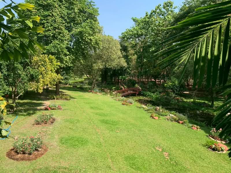 ขาย บ้านไม้สักพร้อมสวน และที่ดิน20ไร่, สระบุรี, ชะอม, แก่งคอย, สระบุรี, 33,036 ตร.ม., ที่ดิน ขาย, โดย เอก, 500155962 - DDproperty.com