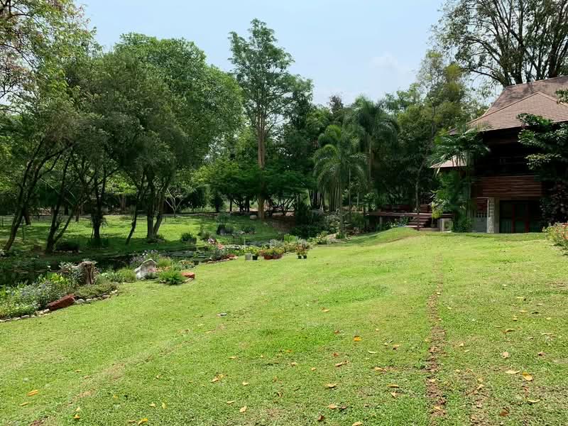 ขาย บ้านไม้สักพร้อมสวน และที่ดิน20ไร่, สระบุรี, ชะอม, แก่งคอย, สระบุรี, 33,036 ตร.ม., ที่ดิน ขาย, โดย เอก, 500155962 - DDproperty.com