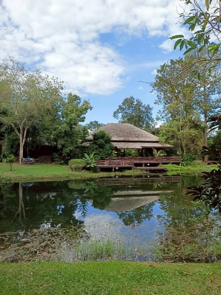 ขาย บ้านไม้สักพร้อมสวน และที่ดิน20ไร่, สระบุรี, ชะอม, แก่งคอย, สระบุรี, 33,036 ตร.ม., ที่ดิน ขาย, โดย เอก, 500155962 - DDproperty.com