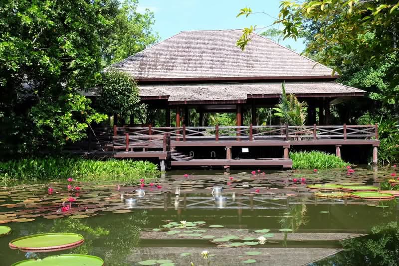 ขาย บ้านไม้สักพร้อมสวน และที่ดิน20ไร่, Saraburi, Cha Om, Kaeng Khoi, Saraburi, , 33,036 sqm, Land For Sale, by เอก, 500155962 - DDproperty.com