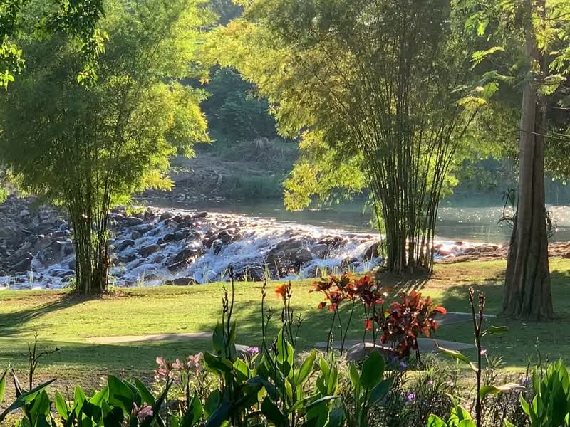 ขาย บ้านไม้สักพร้อมสวน และที่ดิน20ไร่, Saraburi, Cha Om, Kaeng Khoi, Saraburi, , 33,036 sqm, Land For Sale, by เอก, 500155962 - DDproperty.com