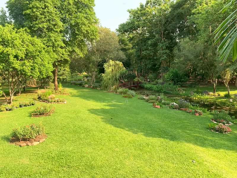 ขาย บ้านไม้สักพร้อมสวน และที่ดิน20ไร่, Saraburi, Cha Om, Kaeng Khoi, Saraburi, , 33,036 sqm, Land For Sale, by เอก, 500155962 - DDproperty.com