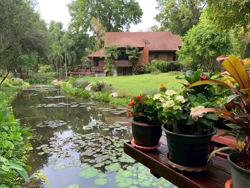 ขาย บ้านไม้สักพร้อมสวน และที่ดิน20ไร่, Saraburi, Cha Om, Kaeng Khoi, Saraburi, , 33,036 sqm, Land For Sale, by เอก, 500155962 - DDproperty.com