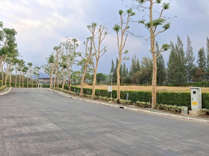 ขายที่ดินเปล่า Pirom At Vineyard เขาใหญ่ ภิรมย์ แอท วินยาร์ด, Nakhon Ratchasima, Phyayen, Pak Chong, Nakhon Ratchasima, , 2,136 sqm, Retail Space For Sale, by DD Asset (Thailand) Co.,Ltd, 500155965 - DDproperty.com