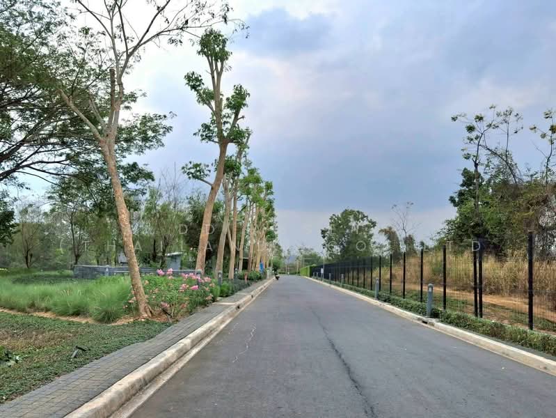 ขายที่ดินเปล่า Pirom At Vineyard เขาใหญ่ ภิรมย์ แอท วินยาร์ด, Nakhon Ratchasima, Phyayen, Pak Chong, Nakhon Ratchasima, , 2,136 sqm, Retail Space For Sale, by DD Asset (Thailand) Co.,Ltd, 500155965 - DDproperty.com