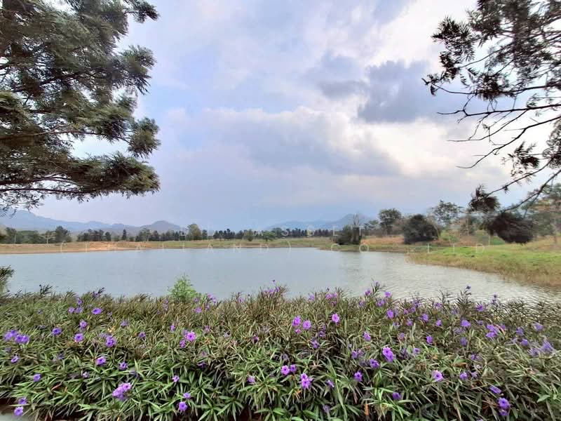 ขายที่ดินเปล่า Pirom At Vineyard เขาใหญ่ ภิรมย์ แอท วินยาร์ด, นครราชสีมา, พญาเย็น, ปากช่อง, นครราชสีมา, 2,136 ตร.ม., พื้นที่ขายของ ขาย, โดย DD Asset (Thailand) Co.,Ltd, 500155965 - DDproperty.com