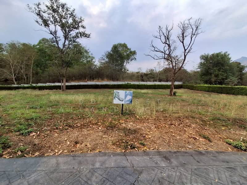 ขายที่ดินเปล่า Pirom At Vineyard เขาใหญ่ ภิรมย์ แอท วินยาร์ด รหัส : L8057, นครราชสีมา, พญาเย็น, ปากช่อง, นครราชสีมา, 2,212 ตร.ม., พื้นที่ขายของ ขาย, โดย DD Asset (Thailand) Co.,Ltd, 500155981 - DDproperty.com