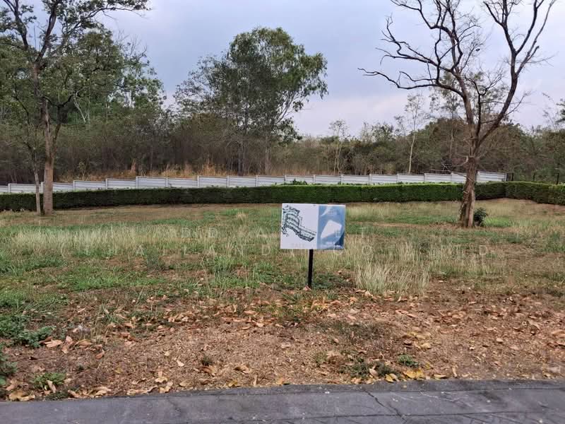 ขายที่ดินเปล่า Pirom At Vineyard เขาใหญ่ ภิรมย์ แอท วินยาร์ด รหัส : L8057, Nakhon Ratchasima, Phyayen, Pak Chong, Nakhon Ratchasima, , 2,212 sqm, Retail Space For Sale, by DD Asset (Thailand) Co.,Ltd, 500155981 - DDproperty.com