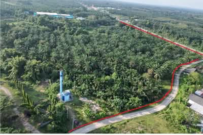 ขาย - เหนือคลอง, กระบี่