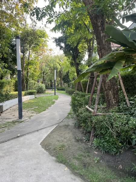 Setthasiri Krungthep Kreetha, Bangkok, Krungthep Kreetha Road, Hua Mak, Bang Kapi, Bangkok, 4 Bedrooms, 284 sqm, Single Detached House For Rent, by Jatuporn Amonsin, 500156074 - DDproperty.com