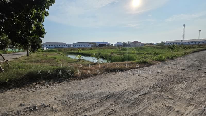 ที่ดินบางปู, สมุทรปราการ, บางปู, เมืองสมุทรปราการ, สมุทรปราการ, 3,200 ตร.ม., ที่ดิน ขาย, โดย Thanitcha Kangkasuwanno, 500156118 - DDproperty.com