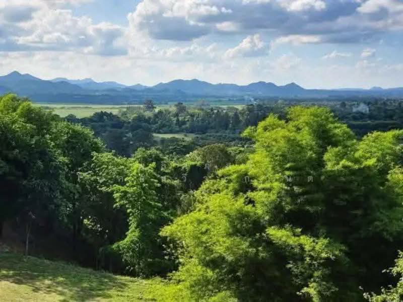 พิกัดขนงพระ, นครราชสีมา, ขนงพระ, ปากช่อง, นครราชสีมา, 40,000 ตร.ม., ที่ดิน ขาย, โดย พลิศภัสร์ โชคธนวีระกานต์, 500156128 - DDproperty.com