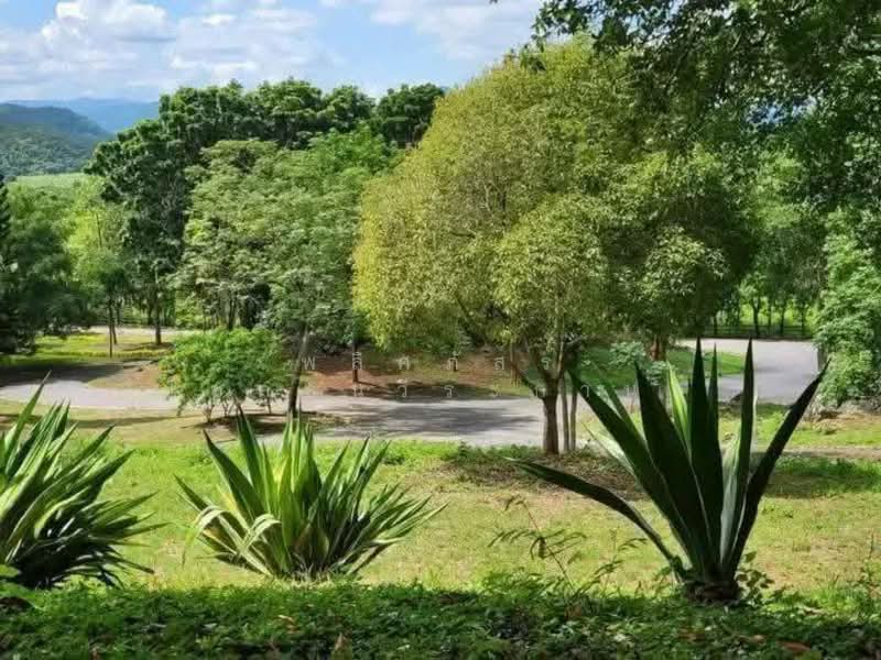 พิกัดขนงพระ, นครราชสีมา, ขนงพระ, ปากช่อง, นครราชสีมา, 40,000 ตร.ม., ที่ดิน ขาย, โดย พลิศภัสร์ โชคธนวีระกานต์, 500156128 - DDproperty.com