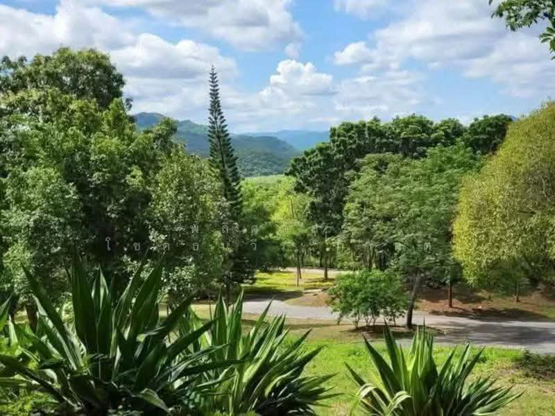 พิกัดขนงพระ, นครราชสีมา, ขนงพระ, ปากช่อง, นครราชสีมา, 40,000 ตร.ม., ที่ดิน ขาย, โดย พลิศภัสร์ โชคธนวีระกานต์, 500156128 - DDproperty.com