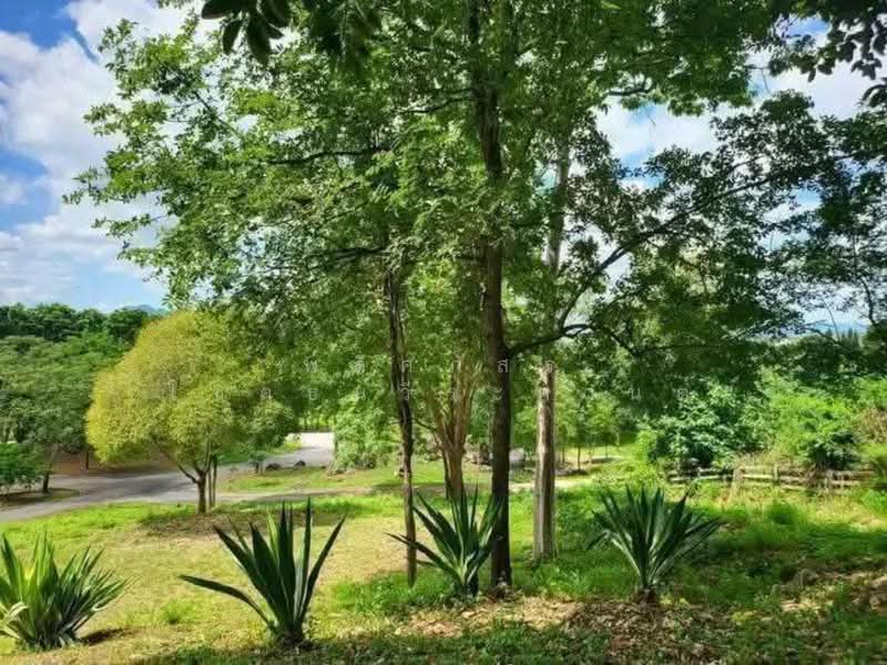 พิกัดขนงพระ, นครราชสีมา, ขนงพระ, ปากช่อง, นครราชสีมา, 40,000 ตร.ม., ที่ดิน ขาย, โดย พลิศภัสร์ โชคธนวีระกานต์, 500156128 - DDproperty.com