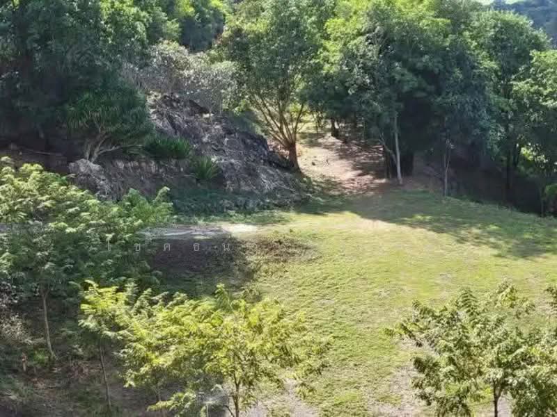 พิกัดขนงพระ, Nakhon Ratchasima, Khanong Phra, Pak Chong, Nakhon Ratchasima, , 40,000 sqm, Land For Sale, by พลิศภัสร์ โชคธนวีระกานต์, 500156128 - DDproperty.com